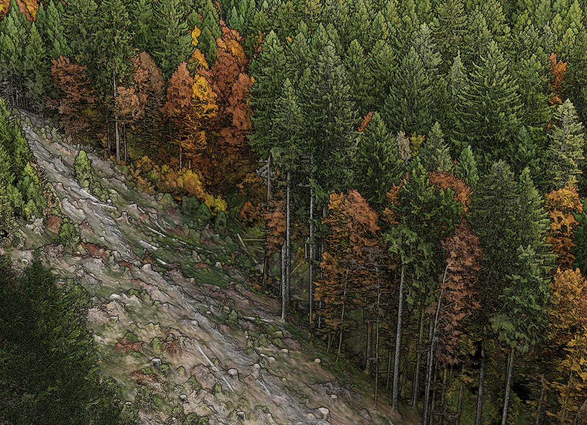 DGPF - Fernerkundung - Forst