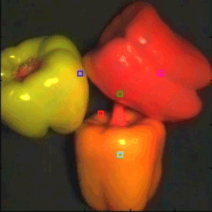 DGPF - Methodik - Multi- und Hyperspektral